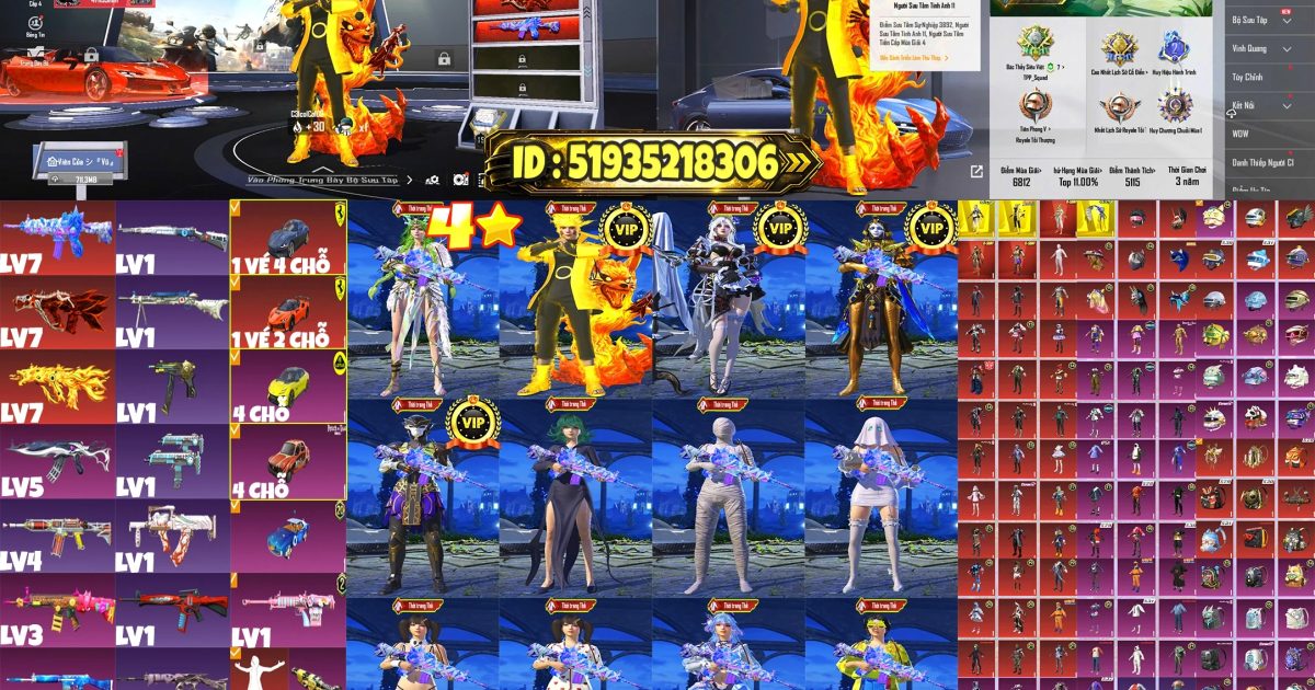 Acc PUBG Mobile mã 52529 - ảnh chính