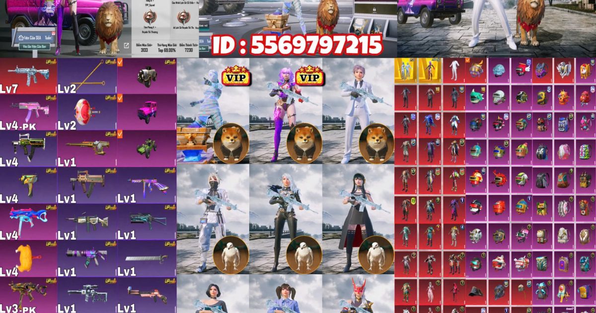 Acc PUBG Mobile mã 58775 - ảnh chính