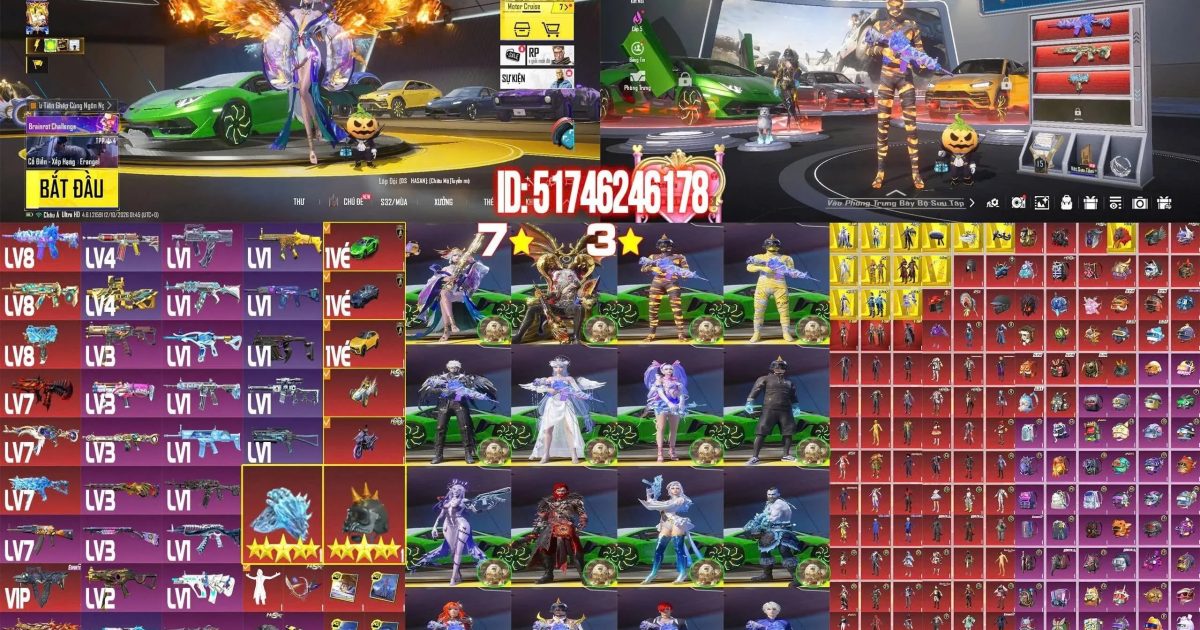 Acc PUBG Mobile mã 58976 - ảnh chính