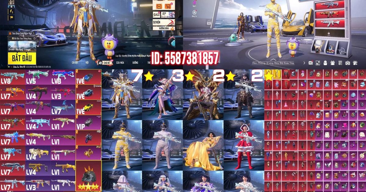 Acc PUBG Mobile mã 58989 - ảnh chính