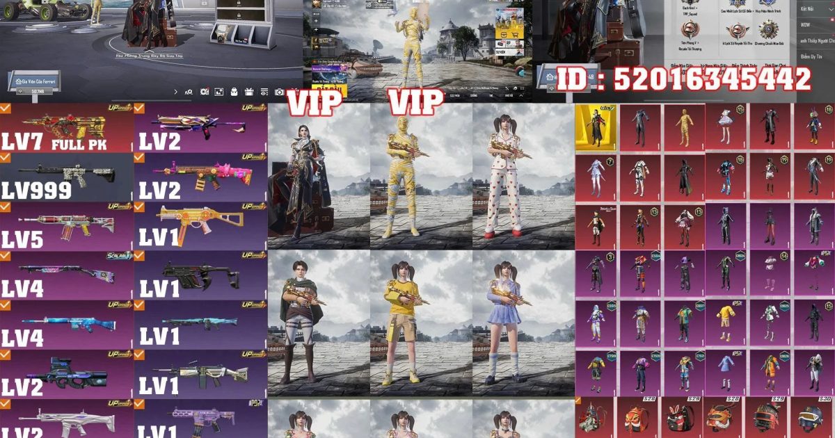 Acc PUBG Mobile mã 59246 - ảnh chính
