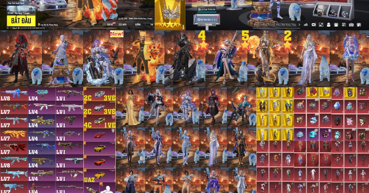 Acc PUBG Mobile mã 61014 - ảnh chính