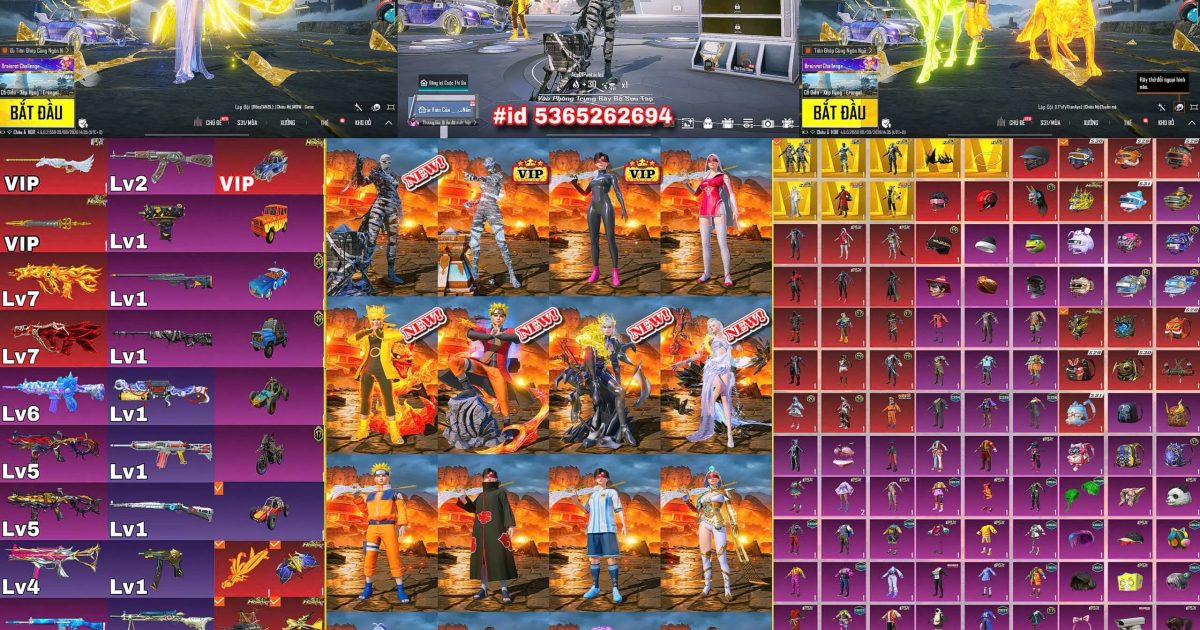 Acc PUBG Mobile mã 61497 - ảnh chính