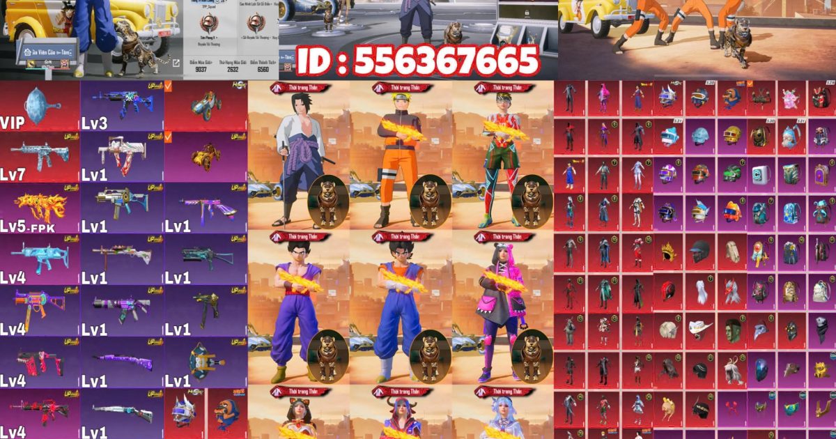 Acc PUBG Mobile mã 61504 - ảnh chính