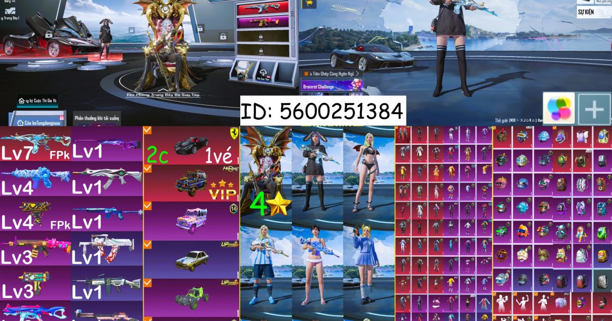 Acc PUBG Mobile mã 61757 - ảnh chính