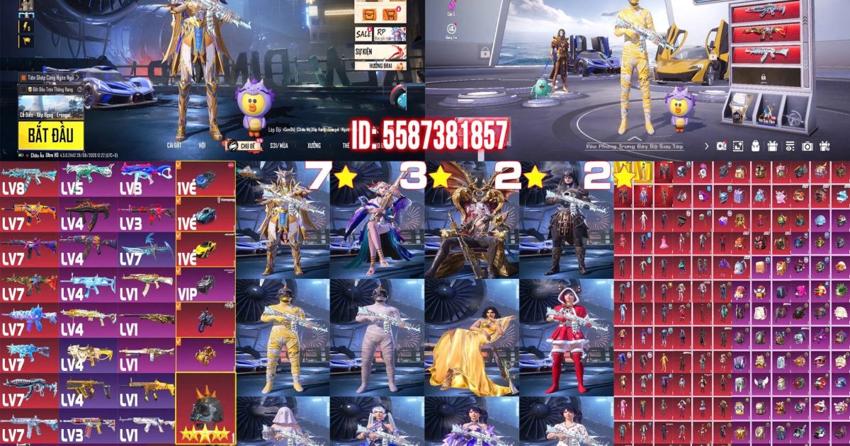 Acc PUBG Mobile mã 65017 - ảnh chính