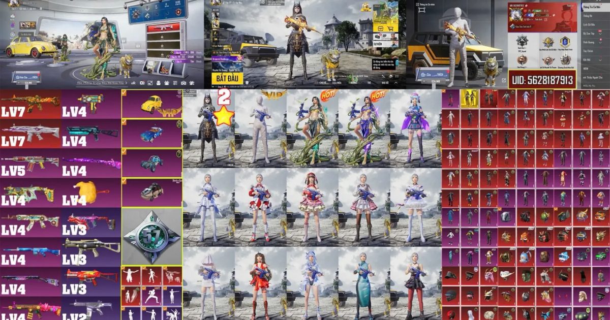 Acc PUBG Mobile mã 65025 - ảnh chính