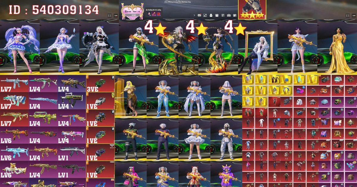 Acc PUBG Mobile mã 65691 - ảnh chính