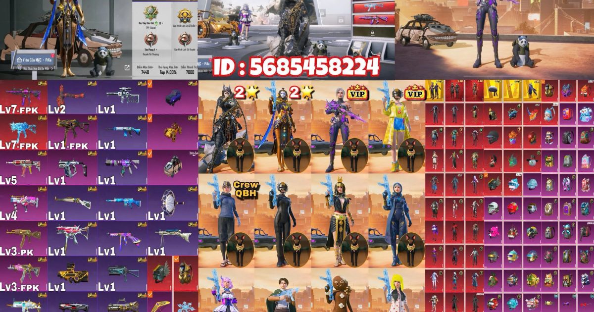Acc PUBG Mobile mã 65894 - ảnh chính