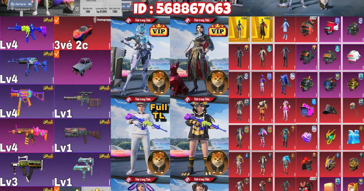 Acc PUBG Mobile mã 65917 - ảnh chính
