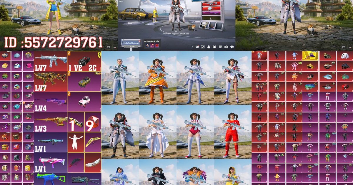 Acc PUBG Mobile mã 66003 - ảnh chính