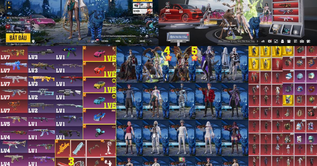 Acc PUBG Mobile mã 66024 - ảnh chính