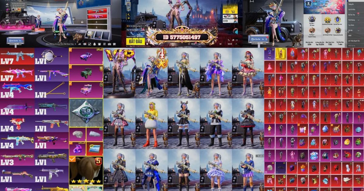 Acc PUBG Mobile mã 66083 - ảnh chính