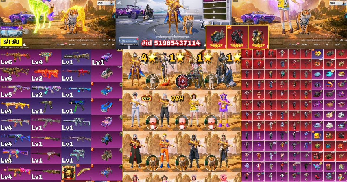 Acc PUBG Mobile mã 66585 - ảnh chính