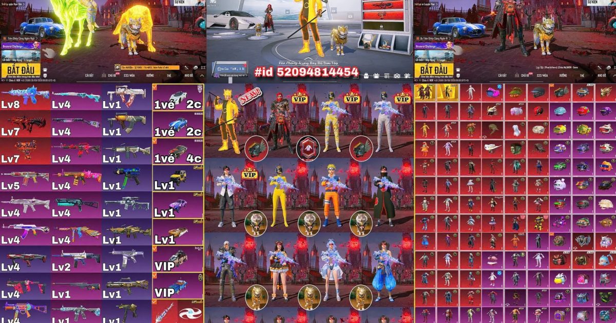Acc PUBG Mobile mã 66829 - ảnh chính