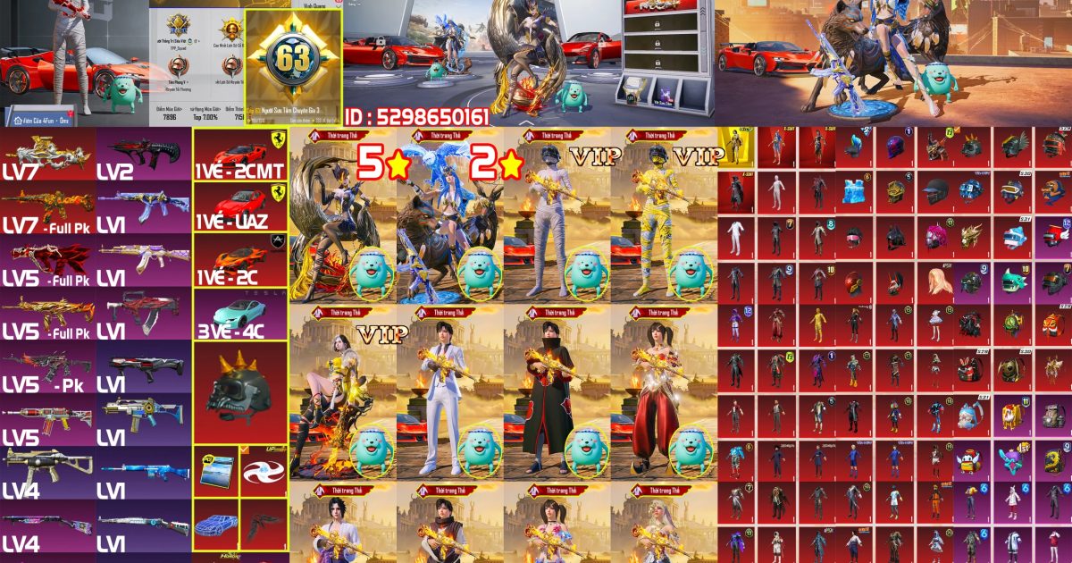 Acc PUBG Mobile mã 67206 - ảnh chính