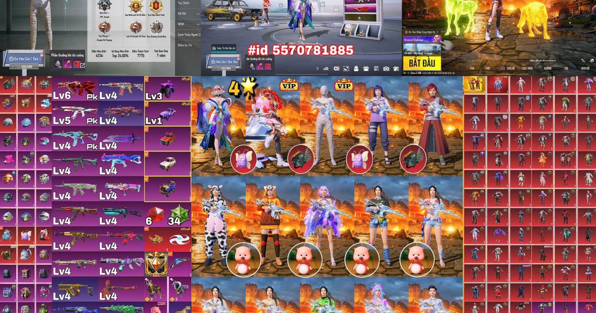 Acc PUBG Mobile mã 67220 - ảnh chính