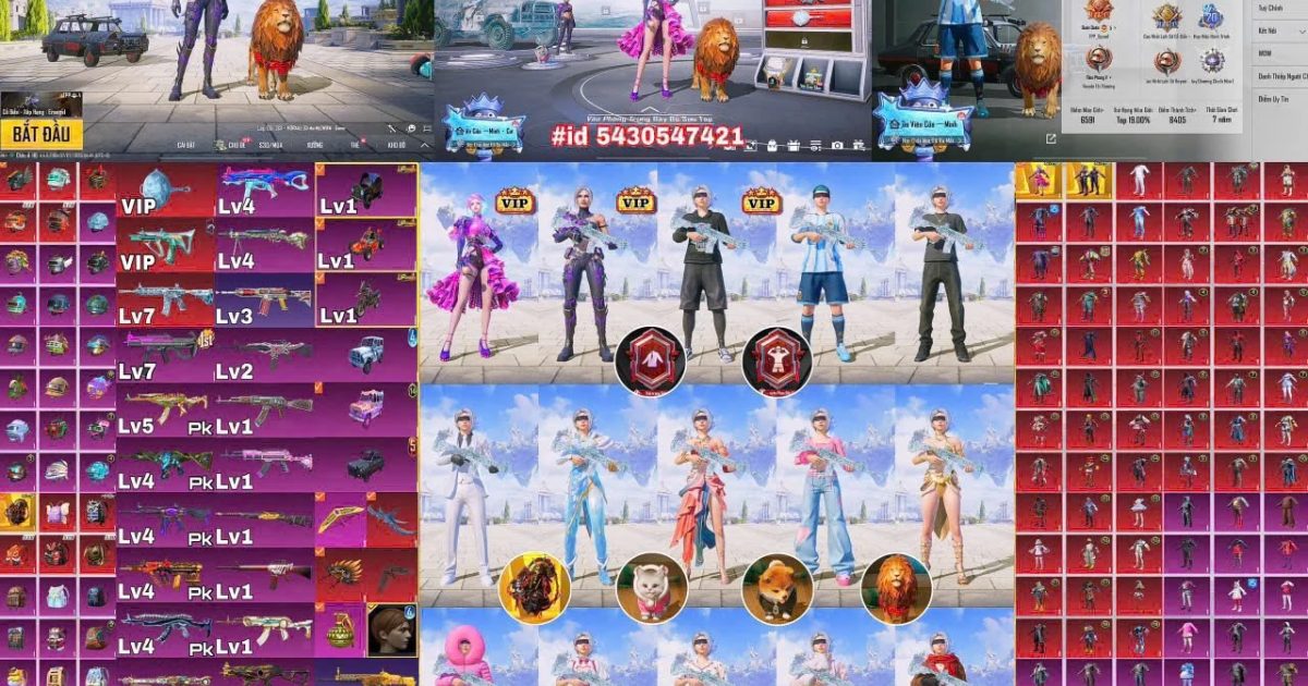 Acc PUBG Mobile mã 68177 - ảnh chính