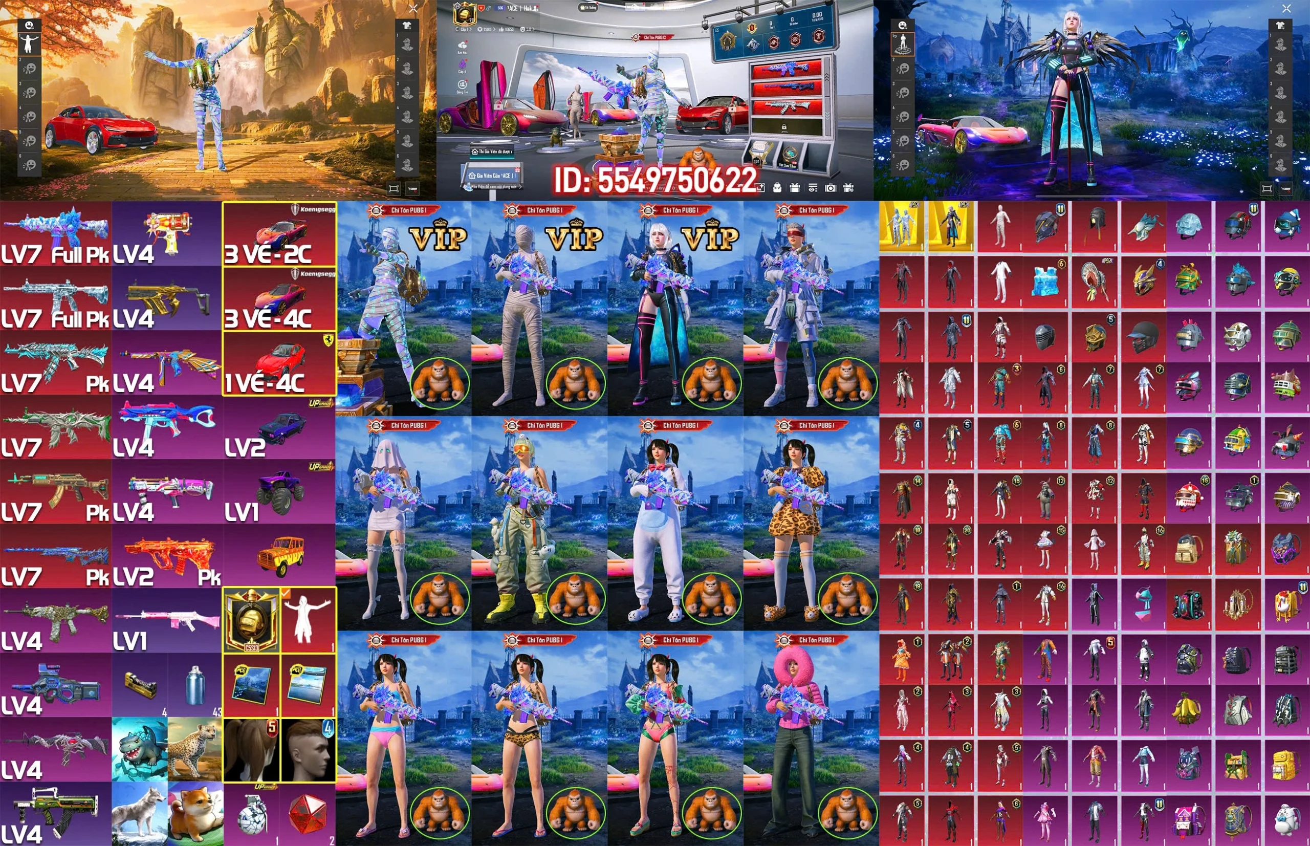 Acc PUBG Mobile mã 66092 - ảnh chính