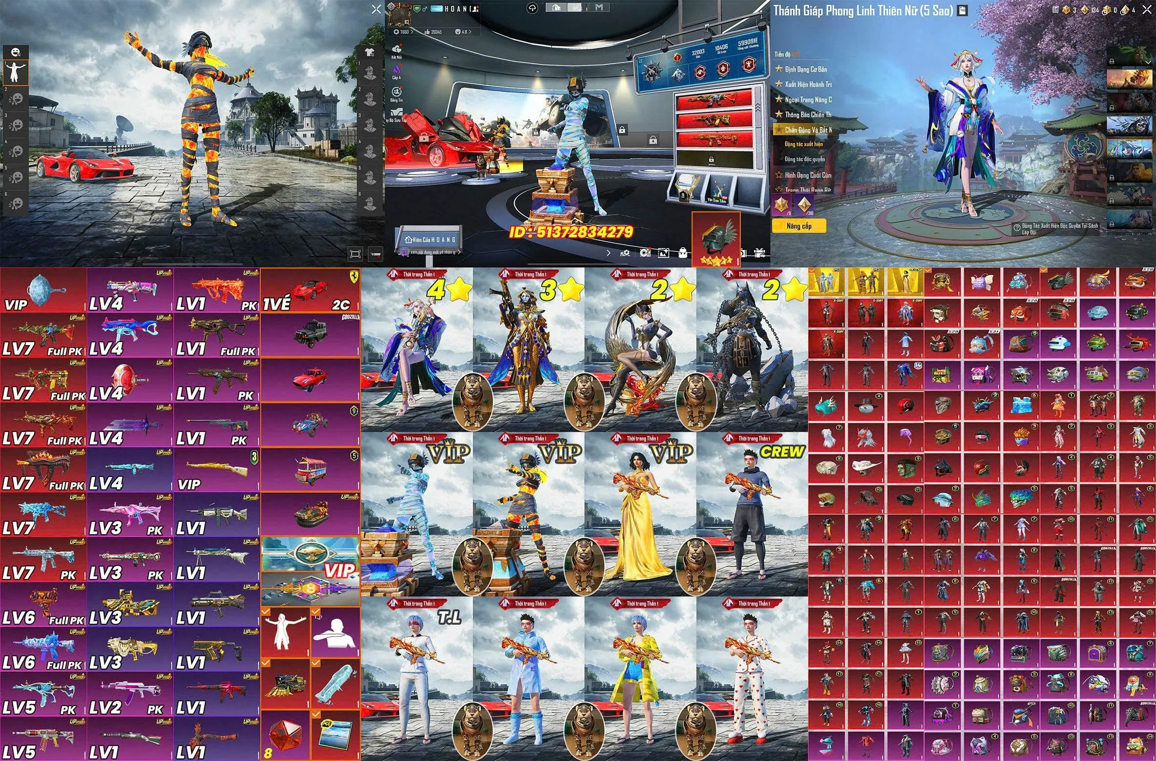Acc PUBG Mobile mã 62411 - ảnh chính