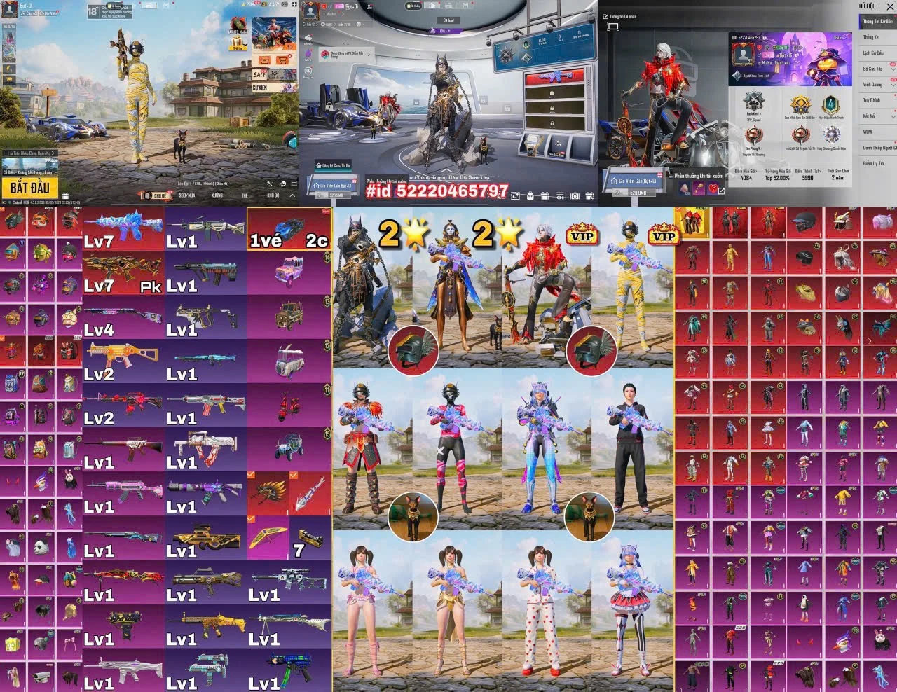 Acc PUBG Mobile mã 59955 - ảnh chính